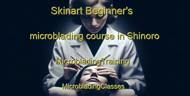 Skinart Beginner's microblading course in Shinoro | MicrobladingTraining | MicrobladingClasses | SkinartTraining-Japan