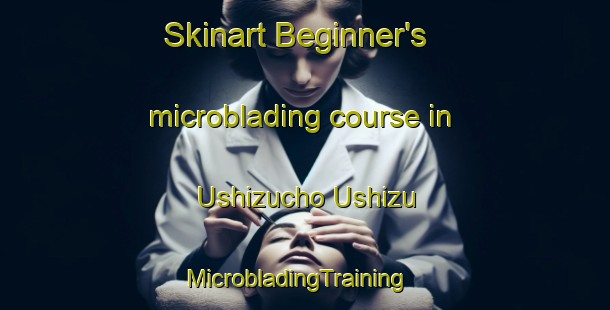 Skinart Beginner's microblading course in Ushizucho Ushizu | MicrobladingTraining | MicrobladingClasses | SkinartTraining-Japan