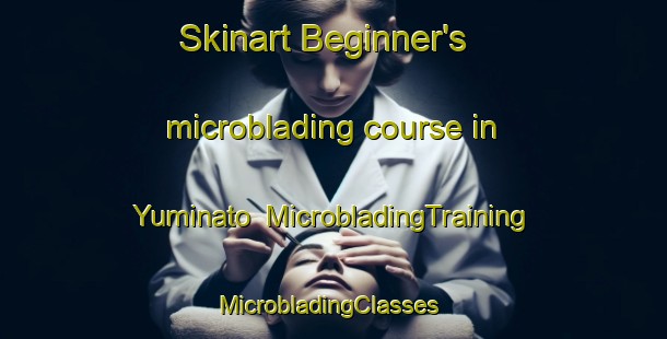 Skinart Beginner's microblading course in Yuminato | MicrobladingTraining | MicrobladingClasses | SkinartTraining-Japan