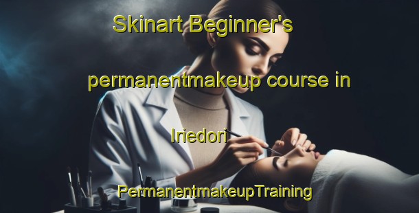 Skinart Beginner's permanentmakeup course in Iriedori | PermanentmakeupTraining | PermanentmakeupClasses | SkinartTraining-Japan