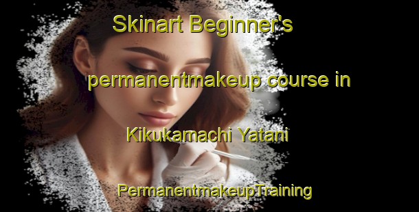 Skinart Beginner's permanentmakeup course in Kikukamachi Yatani | PermanentmakeupTraining | PermanentmakeupClasses | SkinartTraining-Japan