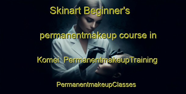 Skinart Beginner's permanentmakeup course in Komei | PermanentmakeupTraining | PermanentmakeupClasses | SkinartTraining-Japan