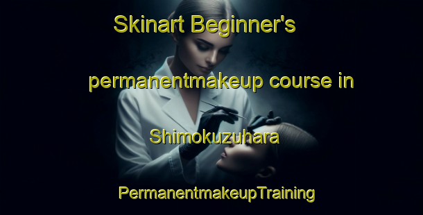 Skinart Beginner's permanentmakeup course in Shimokuzuhara | PermanentmakeupTraining | PermanentmakeupClasses | SkinartTraining-Japan