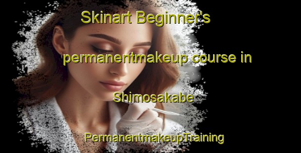 Skinart Beginner's permanentmakeup course in Shimosakabe | PermanentmakeupTraining | PermanentmakeupClasses | SkinartTraining-Japan