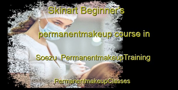 Skinart Beginner's permanentmakeup course in Soezu | PermanentmakeupTraining | PermanentmakeupClasses | SkinartTraining-Japan