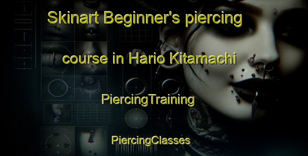 Skinart Beginner's piercing course in Hario Kitamachi | PiercingTraining | PiercingClasses | SkinartTraining-Japan