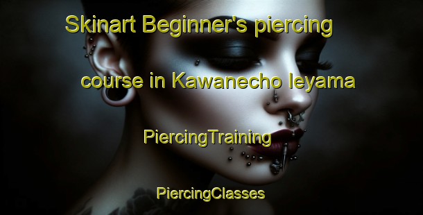 Skinart Beginner's piercing course in Kawanecho Ieyama | #PiercingTraining #PiercingClasses #SkinartTraining-Japan