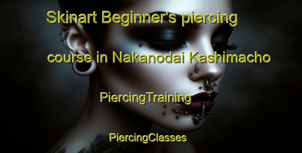 Skinart Beginner's piercing course in Nakanodai Kashimacho | PiercingTraining | PiercingClasses | SkinartTraining-Japan