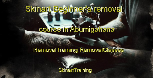 Skinart Beginner's removal course in Abumigahana | #RemovalTraining #RemovalClasses #SkinartTraining-Japan