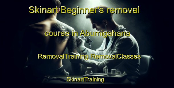 Skinart Beginner's removal course in Abumigahana | #RemovalTraining #RemovalClasses #SkinartTraining-Japan