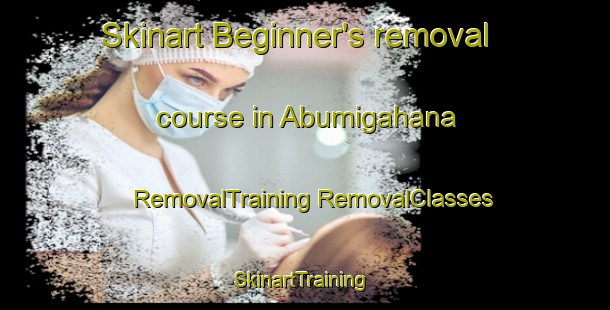 Skinart Beginner's removal course in Abumigahana | #RemovalTraining #RemovalClasses #SkinartTraining-Japan