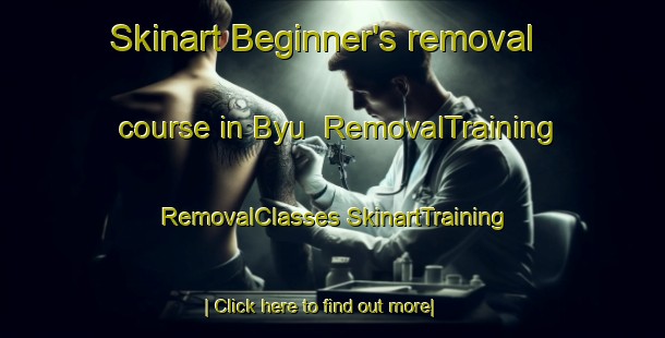 Skinart Beginner's removal course in Byu | #RemovalTraining #RemovalClasses #SkinartTraining-Japan