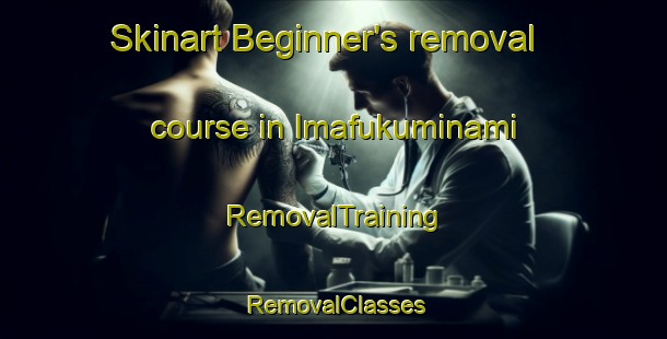 Skinart Beginner's removal course in Imafukuminami | RemovalTraining | RemovalClasses | SkinartTraining-Japan