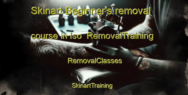 Skinart Beginner's removal course in Iso | RemovalTraining | RemovalClasses | SkinartTraining-Japan
