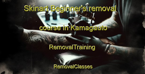 Skinart Beginner's removal course in Kamagauto | RemovalTraining | RemovalClasses | SkinartTraining-Japan