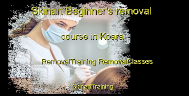 Skinart Beginner's removal course in Koara | #RemovalTraining #RemovalClasses #SkinartTraining-Japan