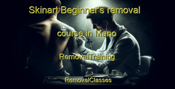 Skinart Beginner's removal course in Mano | RemovalTraining | RemovalClasses | SkinartTraining-Japan