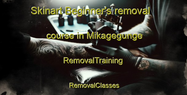 Skinart Beginner's removal course in Mikagegunge | RemovalTraining | RemovalClasses | SkinartTraining-Japan