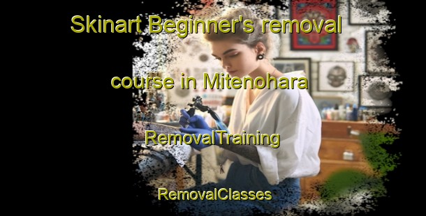 Skinart Beginner's removal course in Mitenohara | RemovalTraining | RemovalClasses | SkinartTraining-Japan