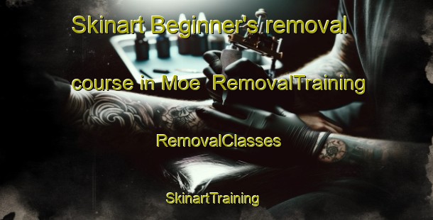 Skinart Beginner's removal course in Moe | RemovalTraining | RemovalClasses | SkinartTraining-Japan