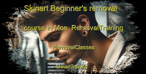 Skinart Beginner's removal course in Moe | RemovalTraining | RemovalClasses | SkinartTraining-Japan