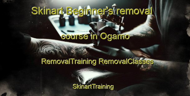 Skinart Beginner's removal course in Ogamo | #RemovalTraining #RemovalClasses #SkinartTraining-Japan