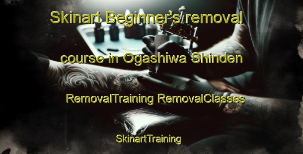 Skinart Beginner's removal course in Ogashiwa Shinden | #RemovalTraining #RemovalClasses #SkinartTraining-Japan