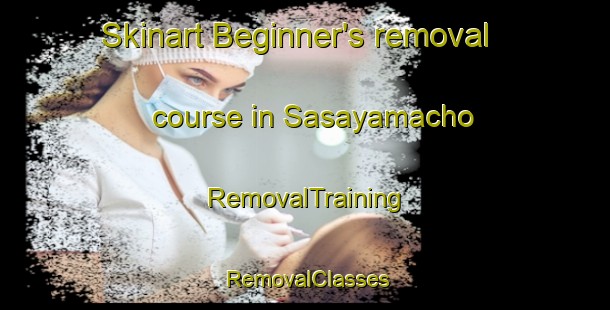 Skinart Beginner's removal course in Sasayamacho | RemovalTraining | RemovalClasses | SkinartTraining-Japan