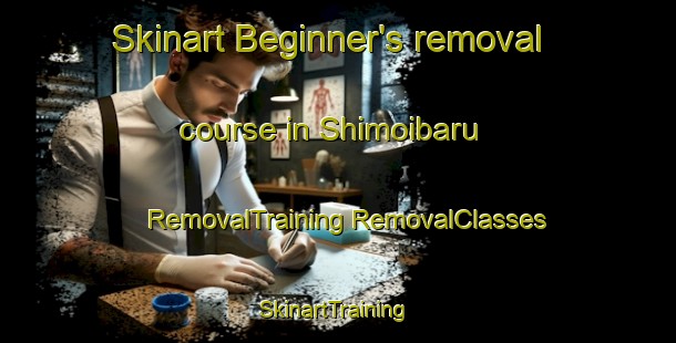 Skinart Beginner's removal course in Shimoibaru | #RemovalTraining #RemovalClasses #SkinartTraining-Japan