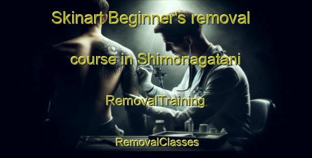Skinart Beginner's removal course in Shimonagatani | RemovalTraining | RemovalClasses | SkinartTraining-Japan
