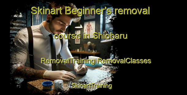 Skinart Beginner's removal course in Shiobaru | #RemovalTraining #RemovalClasses #SkinartTraining-Japan