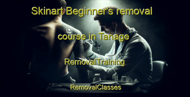 Skinart Beginner's removal course in Tanage | RemovalTraining | RemovalClasses | SkinartTraining-Japan