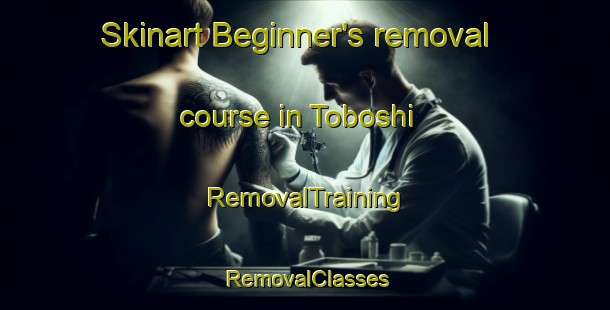 Skinart Beginner's removal course in Toboshi | RemovalTraining | RemovalClasses | SkinartTraining-Japan