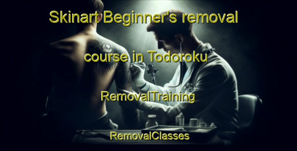 Skinart Beginner's removal course in Todoroku | RemovalTraining | RemovalClasses | SkinartTraining-Japan