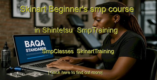 Skinart Beginner's smp course in Shintetsu | SmpTraining | SmpClasses | SkinartTraining-Japan