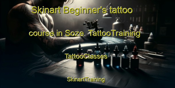 Skinart Beginner's tattoo course in Soze | TattooTraining | TattooClasses | SkinartTraining-Japan