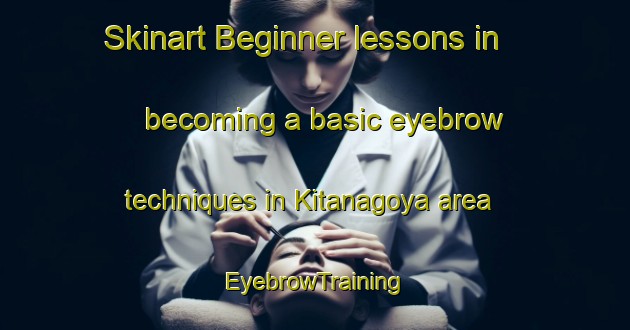 Skinart Beginner lessons in becoming a basic eyebrow techniques in Kitanagoya area | EyebrowTraining | EyebrowClasses | SkinartTraining-Japan