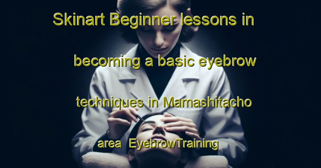 Skinart Beginner lessons in becoming a basic eyebrow techniques in Mamashitacho area | EyebrowTraining | EyebrowClasses | SkinartTraining-Japan