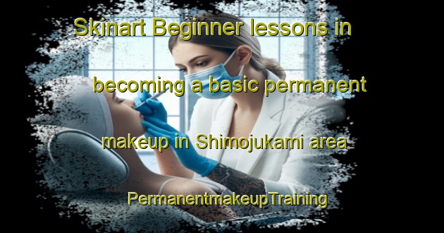 Skinart Beginner lessons in becoming a basic permanent makeup in Shimojukami area | PermanentmakeupTraining | PermanentmakeupClasses | SkinartTraining-Japan