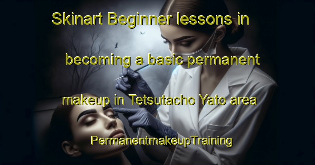 Skinart Beginner lessons in becoming a basic permanent makeup in Tetsutacho Yato area | PermanentmakeupTraining | PermanentmakeupClasses | SkinartTraining-Japan