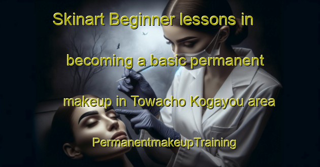 Skinart Beginner lessons in becoming a basic permanent makeup in Towacho Kogayou area | PermanentmakeupTraining | PermanentmakeupClasses | SkinartTraining-Japan