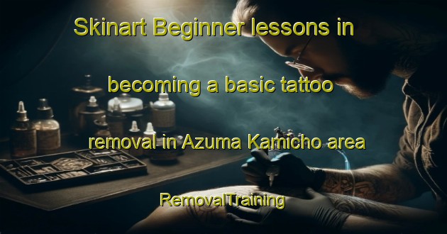 Skinart Beginner lessons in becoming a basic tattoo removal in Azuma Kamicho area | RemovalTraining | RemovalClasses | SkinartTraining-Japan