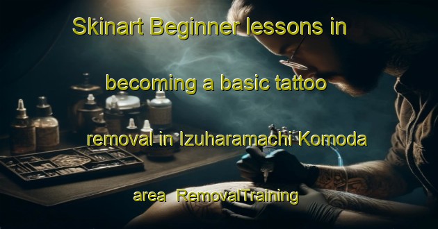 Skinart Beginner lessons in becoming a basic tattoo removal in Izuharamachi Komoda area | RemovalTraining | RemovalClasses | SkinartTraining-Japan