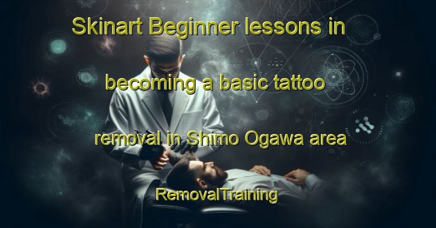 Skinart Beginner lessons in becoming a basic tattoo removal in Shimo Ogawa area | RemovalTraining | RemovalClasses | SkinartTraining-Japan