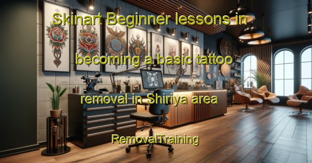 Skinart Beginner lessons in becoming a basic tattoo removal in Shiriya area | RemovalTraining | RemovalClasses | SkinartTraining-Japan
