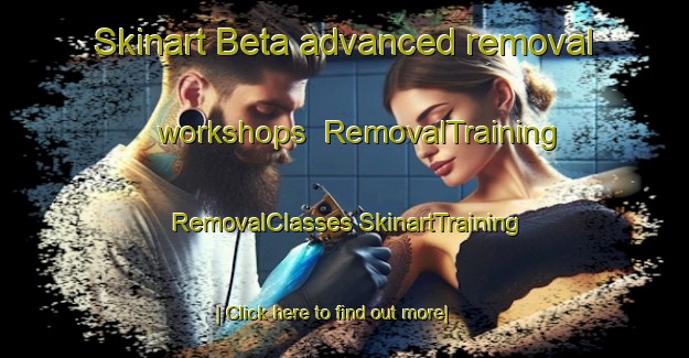 Skinart Beta advanced removal workshops | #RemovalTraining #RemovalClasses #SkinartTraining-Japan