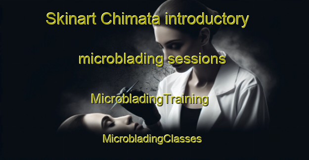 Skinart Chimata introductory microblading sessions | MicrobladingTraining | MicrobladingClasses | SkinartTraining-Japan