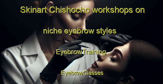 Skinart Chishocho workshops on niche eyebrow styles | EyebrowTraining | EyebrowClasses | SkinartTraining-Japan