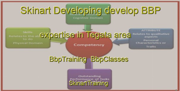 Skinart Developing develop BBP expertise in Tegata area | BbpTraining | BbpClasses | SkinartTraining-Japan