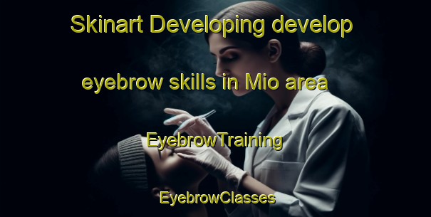 Skinart Developing develop eyebrow skills in Mio area | EyebrowTraining | EyebrowClasses | SkinartTraining-Japan